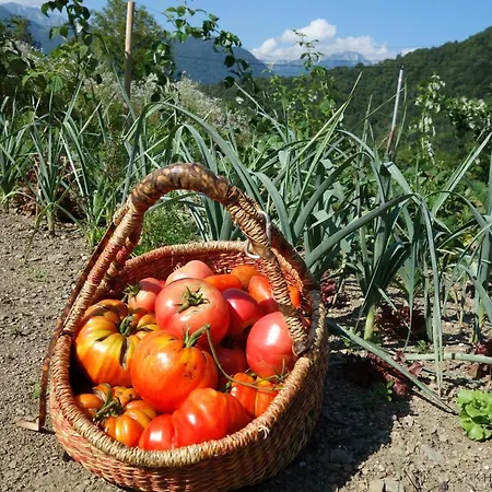 Hisa Lenart Apartman Tolmin