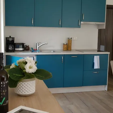 Apartment Hisa Lenart *
