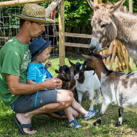 Hisa Lenart Tolmin