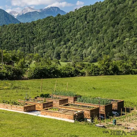 Hisa Lenart 아파트 톨민