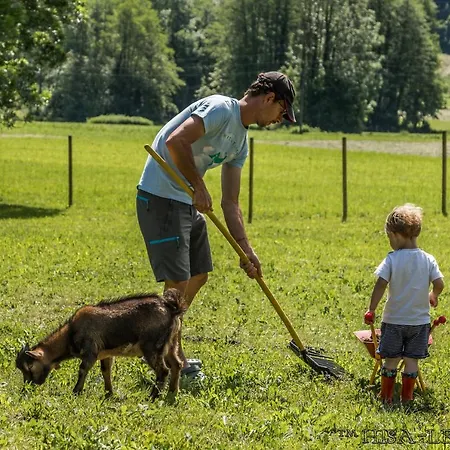 Hisa Lenart 아파트