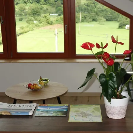Apartment Hisa Lenart