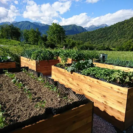 Hisa Lenart * Tolmin