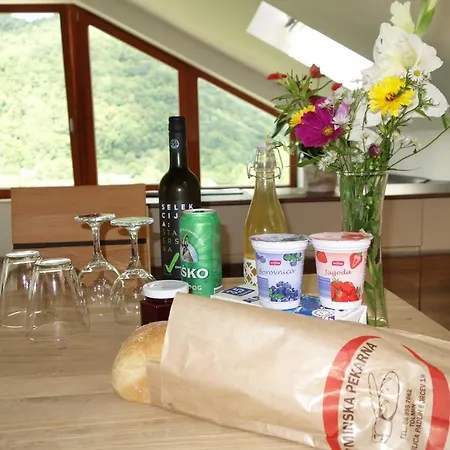 Hisa Lenart Apartment Tolmin