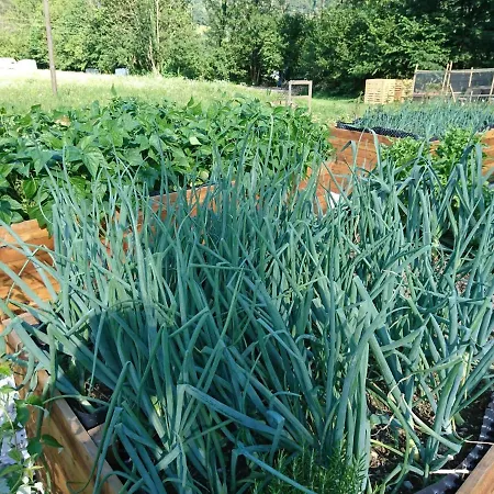 Hisa Lenart Apartman