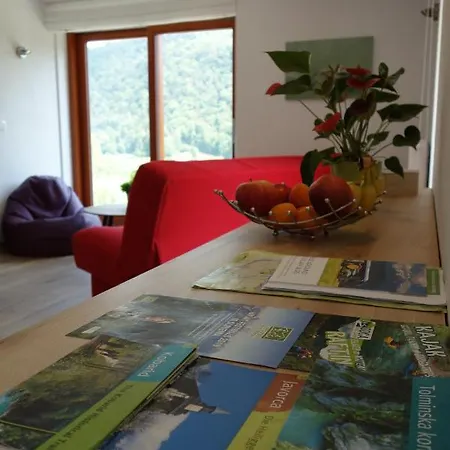 Hisa Lenart Apartman Tolmin