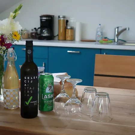 Hisa Lenart Apartman Tolmin