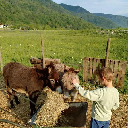 Hisa Lenart Tolmin