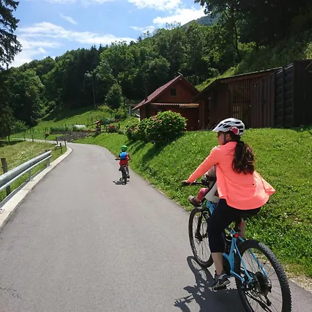 Hisa Lenart * Tolmin