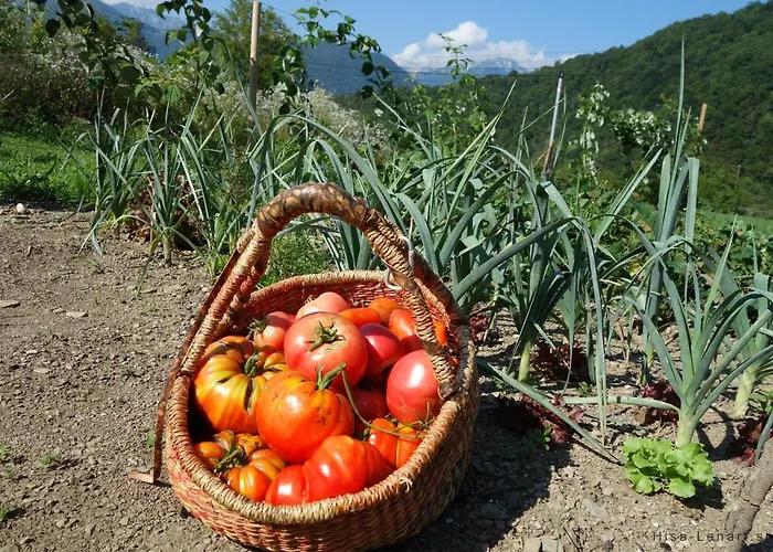 Hisa Lenart 公寓 托尔明