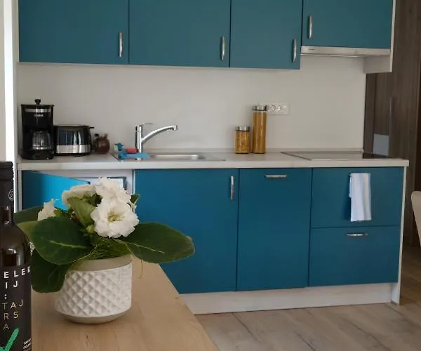 Lejlighed Hisa Lenart *