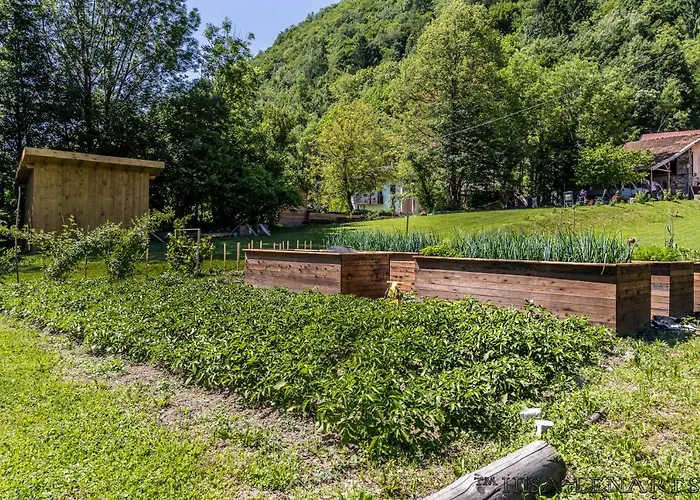 Hisa Lenart * 托尔明