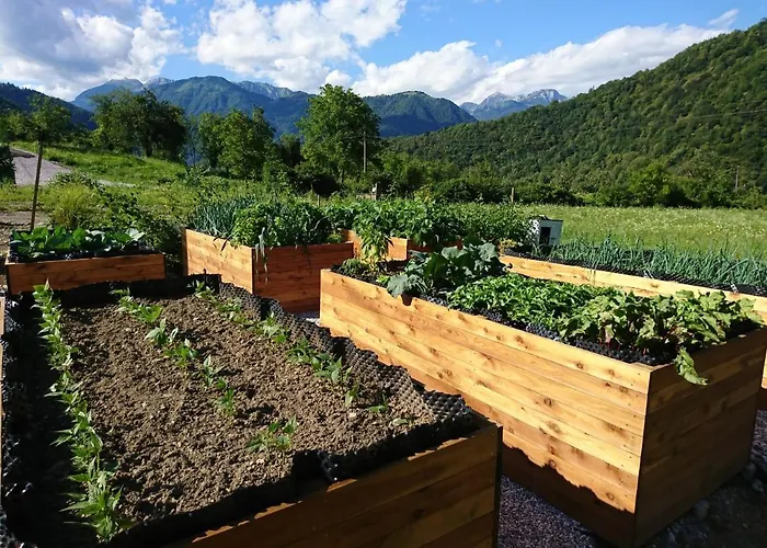 Hisa Lenart * Tolmin