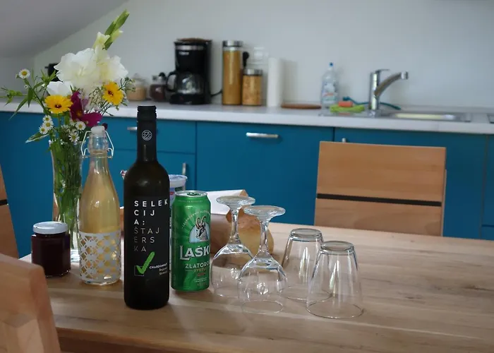 Hisa Lenart 公寓 托尔明